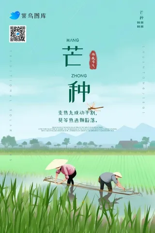 芒种节气雨天农民插秧海报