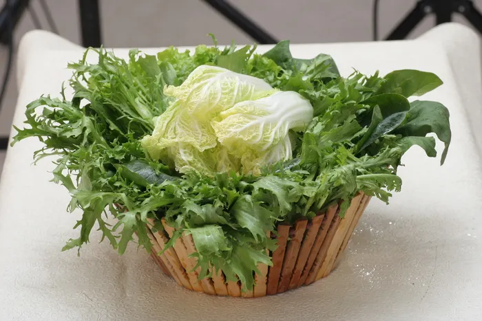 蔬菜D