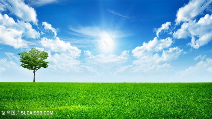 蓝天白云草地美景壁纸