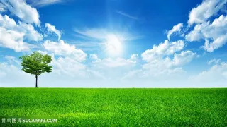 蓝天白云草地美景壁纸