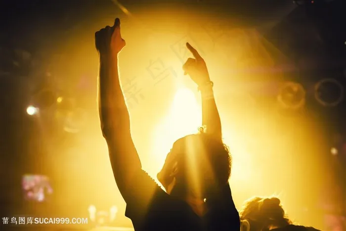 演唱会现场欢呼高清图片