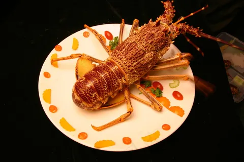 粤菜1673龙虾0 粤菜1673龙虾0