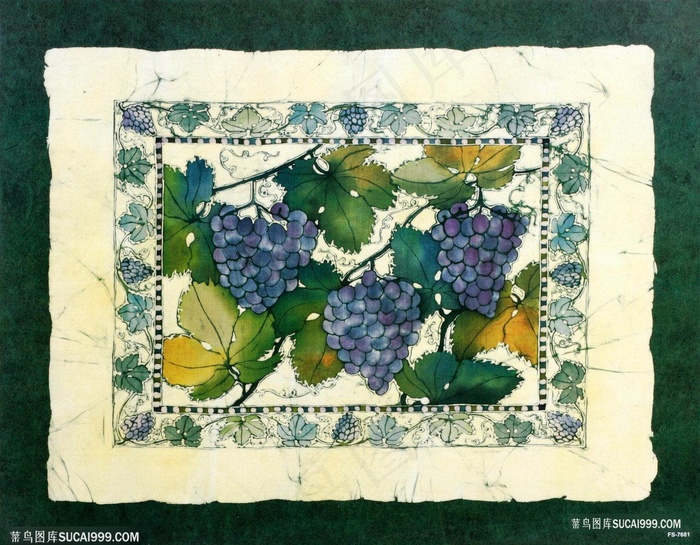 葡萄手绘唯美插画