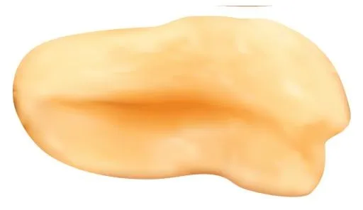 花生 PNG免抠(850x492)