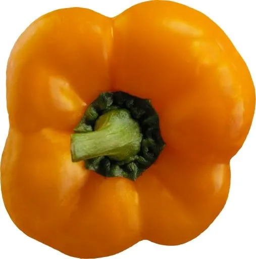 甜椒 PNG免抠(1331x1343)