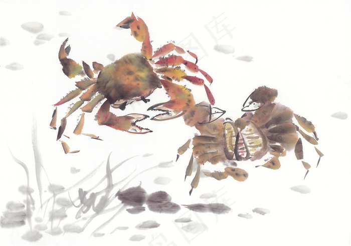 国画鱼虾蟹龟系列素材