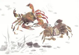 国画鱼虾蟹龟系列素材