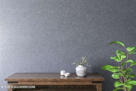 深色墙面软装效果