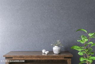 深色墙面软装效果