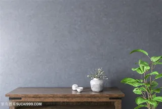 深色墙面软装效果