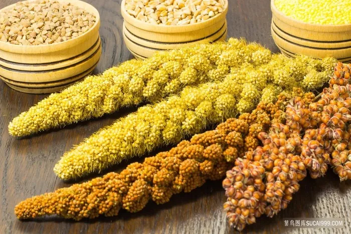 稻谷摄影图片