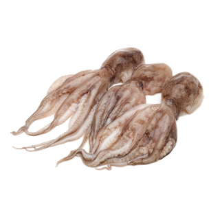 头足类(6)海鲜超市商品红酒白底图免抠实物摄影png格式图片透明底