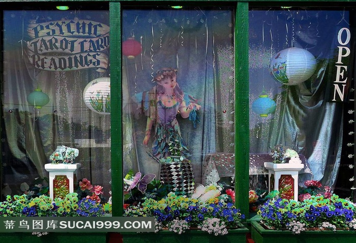 橱窗鲜花玩具美女