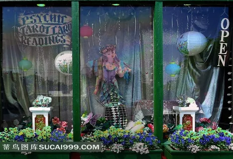 橱窗鲜花玩具美女 橱窗鲜花玩具美女