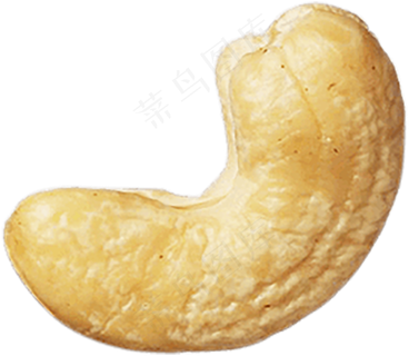 腰果免抠素材 (41)