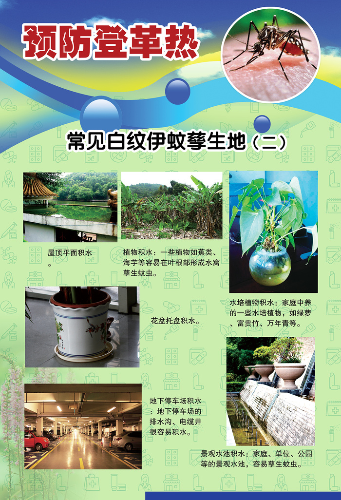 预防登革热宣传系列挂图海报psd模版下载