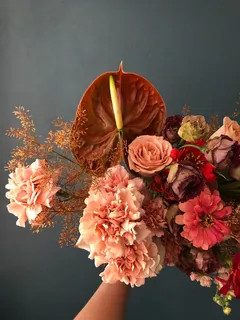 玫瑰花摄影图情人节玫瑰花配图图片 玫瑰花摄影图情人节玫瑰花配图图片