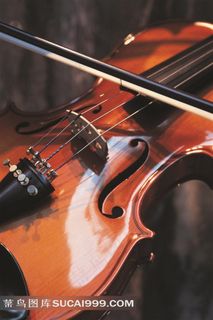 一把小提琴的特写