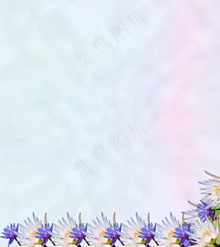 淡雅花边背景图片