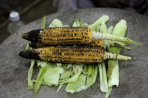 美味烤玉米棒图片 美味烤玉米棒图片