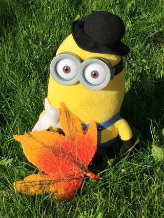 小黄人公仔图片