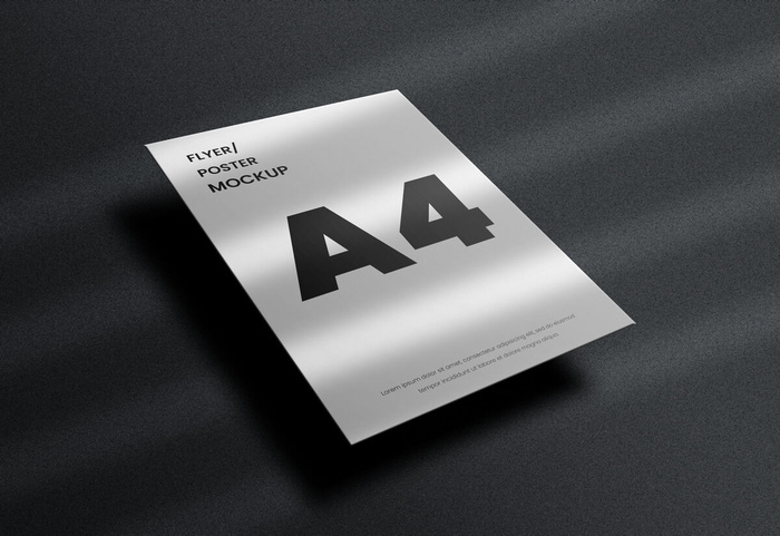 设计A4迹象标志外装样机