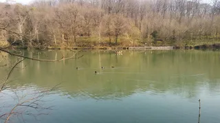 绿色的湖水图片