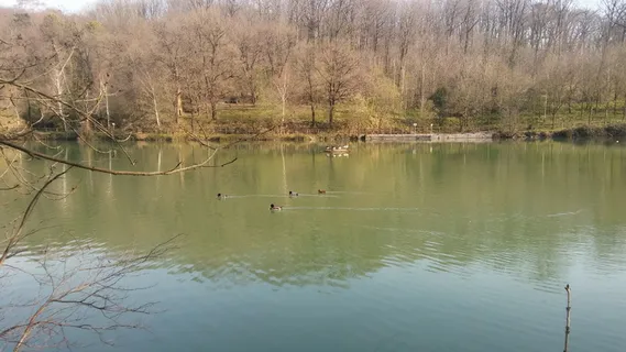 绿色的湖水图片 绿色的湖水图片