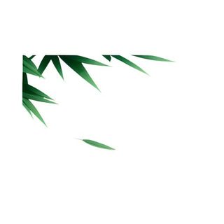 竹叶叶子免抠