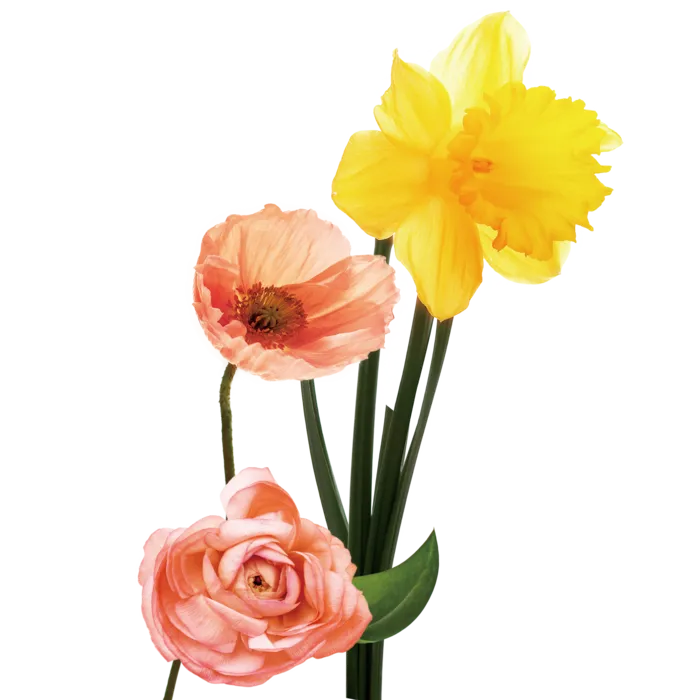 免抠花朵鲜花素材