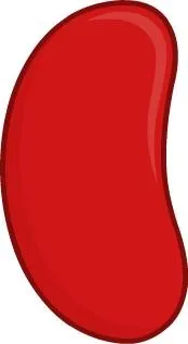 芸豆 PNG免抠(174x317)