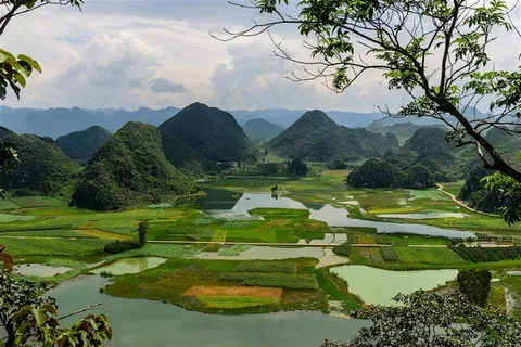 云南普者黑风景高清素材 云南普者黑风景高清素材