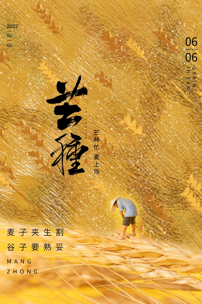 芒种 芒种海报设计