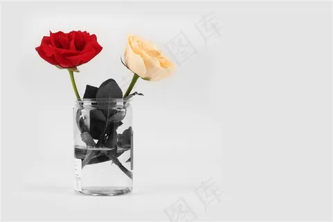 花瓶里的玫瑰 花瓶里的玫瑰