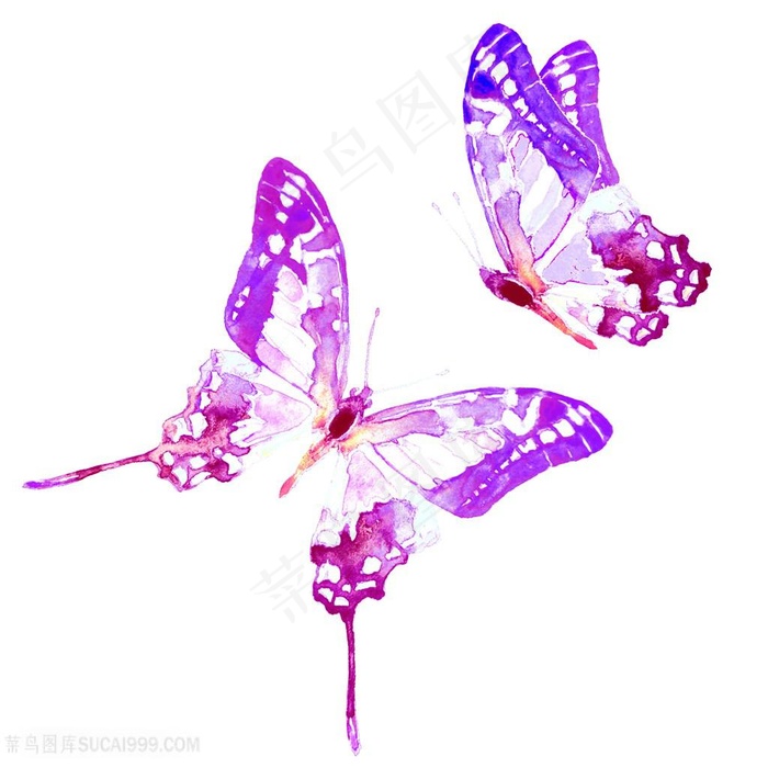 水彩蝴蝶绘画高清图片