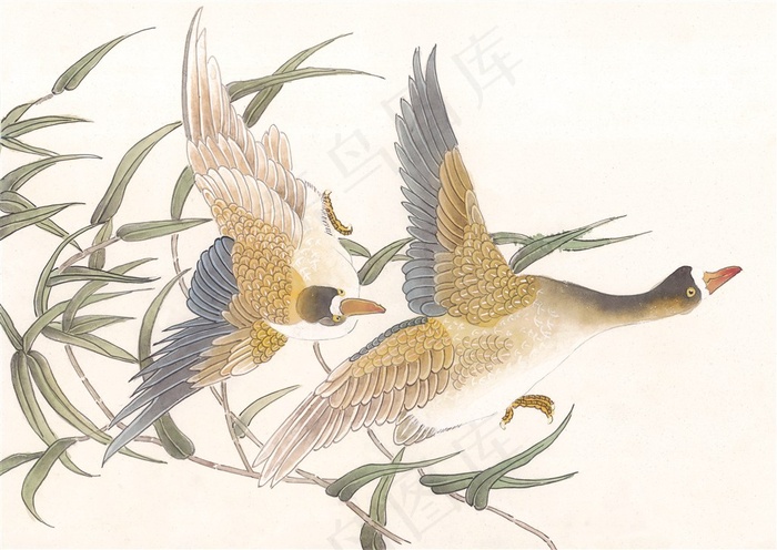 国画吉祥鸟中国画美图素材