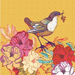 手绘 插画鸟 画眉鸟