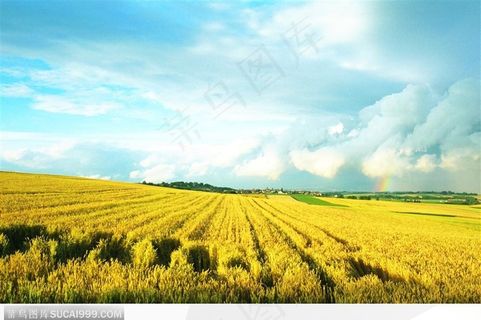 蓝天下田园风光