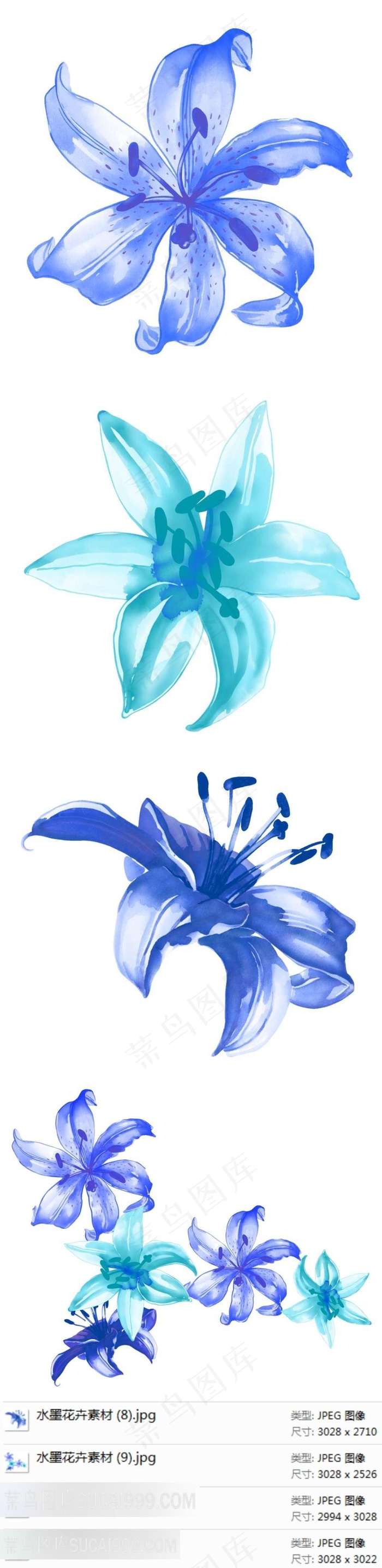 水墨百合花素材