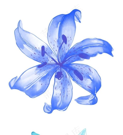 中国花鸟国画图片素材