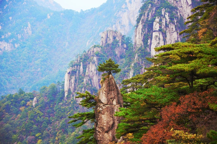 大自然, 木, 山, 景观, 树, 黄山, 中国, 安徽大自然 