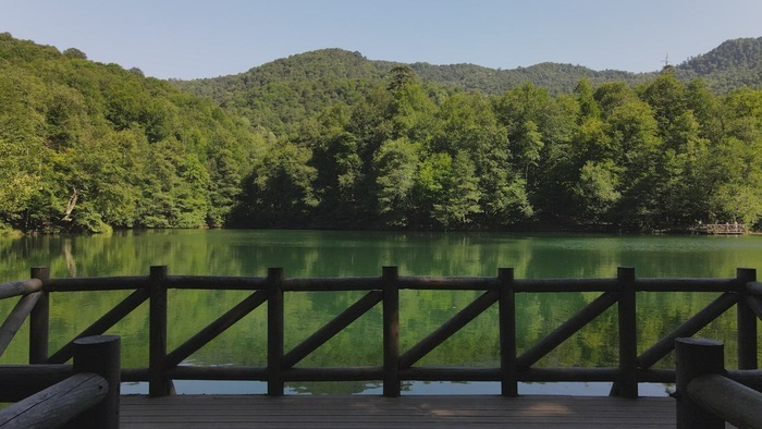 在城市海岸附近航行的船舶的