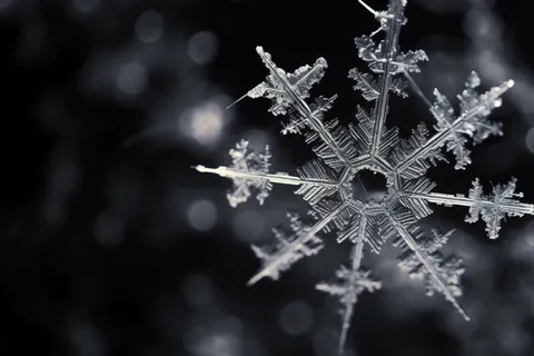 雪花白雪冬天摄影图