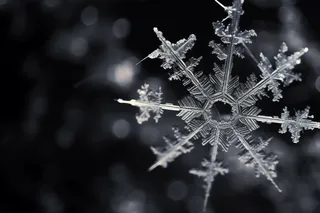 雪花白雪冬天摄影图