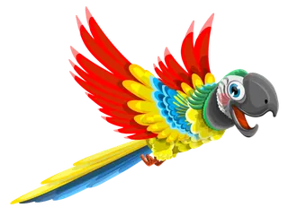 鹦鹉五彩鹦鹉卡通