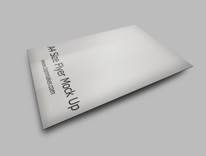 产品画册提案效果样机模板