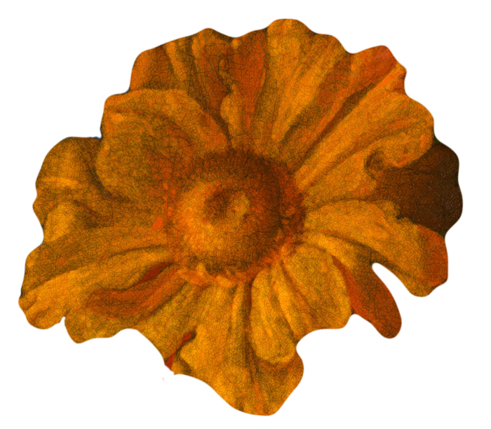 复古油画质感宫廷花卉植物花朵鲜花拼贴图案PNG免抠图片设计素材