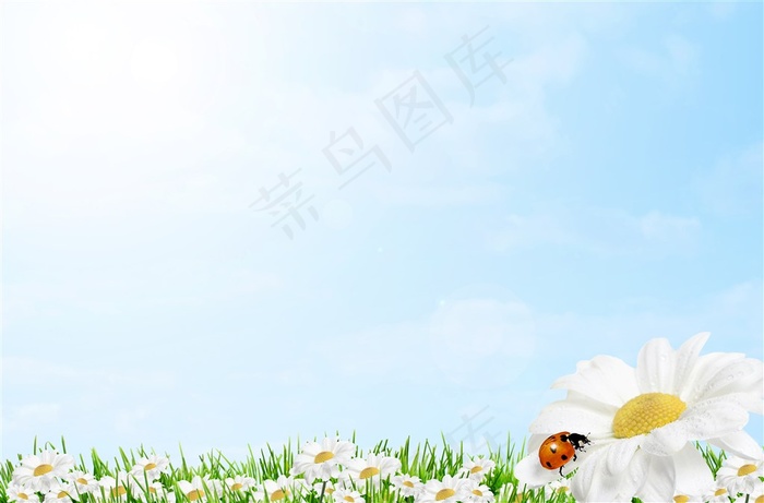 花朵背景图片