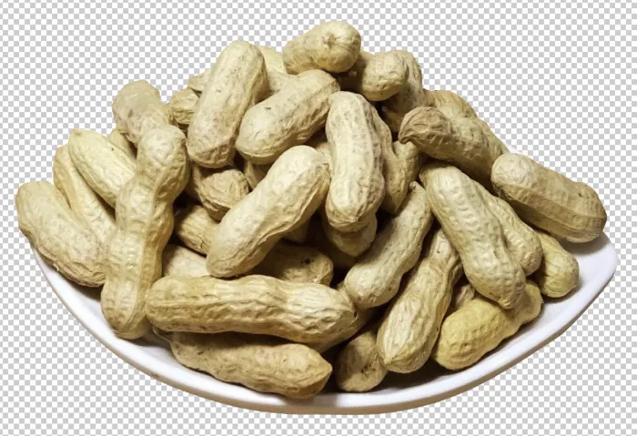 花生免扣素材psd模版下载