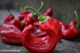 红辣椒高清背景